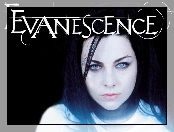 Amy Lee, Evanescence, Usta