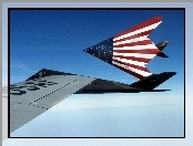 F-117 Nighthawk, Flaga, USA