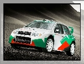 Skoda Fabia WRC