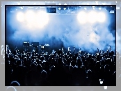Koncert, Fani, Muzyka