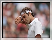 Roger Federer, Tenisista