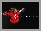 Liverpool, Fernando Torres