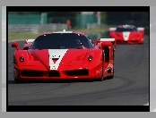 Ferrari FXX, Spaliny, Numer, Startowy