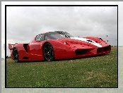 Ferrari FXX, Reflektory, Trawa