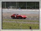 Ferrari 275, Tor, Wyścigowy