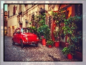 Fiat 500, Ulica, Rośliny