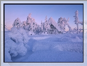 Finlandia, Zima, Drzewa, Dom, Laponia