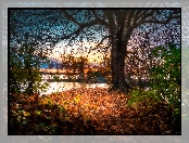 Finlandia, Drzewa, Liście, Miasto Tampere, Park Southern Park, Jezioro Pyhäjärvi, Jesień