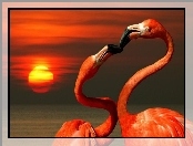 Dwa, Flamingi, Pocałunek