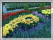 Flora, Ogród, Hortulus, Kwiaty