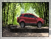 Ford EcoSport, Drzewa, Las