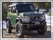 Ford Bronco Everglades