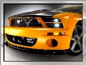 Ford Mustang, Grill, Ksenony