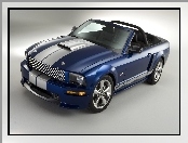 Ford Mustang Shelby GT Cabrio