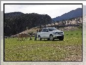 Ford F-150, King Ranch