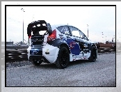 Ford Fiesta ST, Race Car