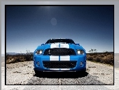 Shelby, Ford Mustang