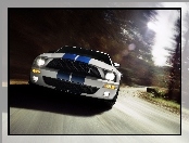 Shelby, Ford Mustang