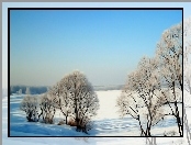 Fractalius, Zima, Las, Grafika, Komputerowa