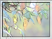 Liście, Fractalius, Grafika