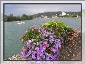 Francja, Rzeka, Vienne, Kwiaty, Panorama