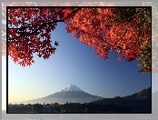 Fuji, Góra, Japonia, Liście, Mount, Czerwone
