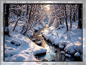 Drzewa, Zima, Ośnieżone, Gałęzie, Rzeka, Las