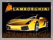 Lamborghini Gallardo, Byk