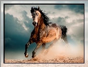 Koń, Galop, Chmury