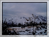 Gąsienicowa, Góry, Zimą, Tatry, Hala