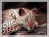 Gepard, Fraktal