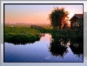 Gęsi, Jezioro, Domek, Słońca, Łąka, Zachód