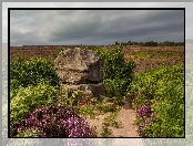 Głaz, Anglia, Skała, Wrzosowisko, Park Narodowy Peak District, Hrabstwo Derbyshire