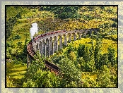 Wiadukt Glenfinnan, Miejscowość Glenfinnan, Szkocja, Roślinność, Dolina, Pociąg