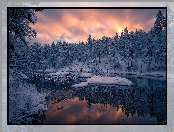 Zima, Gmina Ringerike, Norwegia, Śnieg, Jezioro, Drzewa