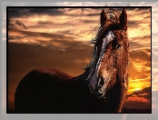 Gniady koń, Zachód słońca