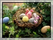 Gniazdko, Rośliny, Wielkanocne, Jajka