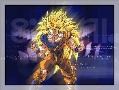 Goku