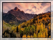 Góra Mount Sneffels, Góry, Jesień, Lasy, Stany Zjednoczone, San Juan Mountains, Kolorado, Drzewa, Przełęcz Dallas Divide
