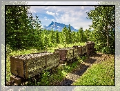 Góra, Mount Rundle, Kanada, Park Narodowy Banff, Lasy, Drzewa, Alberta