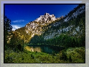 Góra Oltschiburg, Szwajcaria, Drzewa, Jezioro