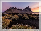 Góra Vestrahorn, Trawa, Czarny, Islandia, Piasek, Kępki, Plaża, Góry