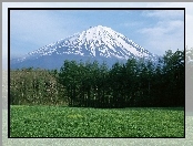 Góra, Trawa, Śnieg, Las