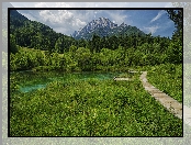 Góry, Kranjska Gora, Jezioro, Słowenia, Lasy, Rezerwat przyrody Zelenci, Trawa, Pomost