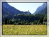 Góry, Zamek, Neuschwanstein, Łąka, Zalesione