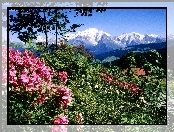 Góry, Mont Blanc, Francja