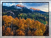 San Miguel Range, Las, Stany Zjednoczone, San Juan Mountains, Niebo, Drzewa, Góry, Jesień, Topole osikowe, Pożółkłe, Chmury, Kolorado