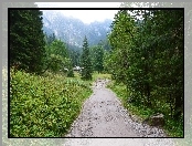Góry, Ścieżka