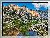 Staw, Kalifornia, Kamienie, Góry, South Lake Tahoe, Stany Zjednoczone, Drzewa, Sierra Nevada Mountains