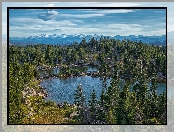 Góry Absaroka, Wyoming, Staw, Stany Zjednoczone, Drzewa, Świerki, Kamienie